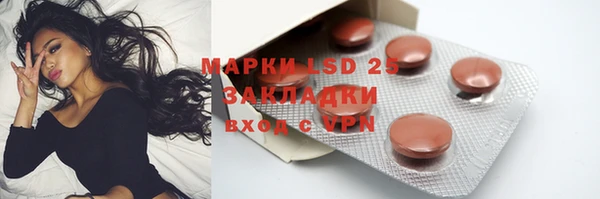 прущие грибы Курчалой