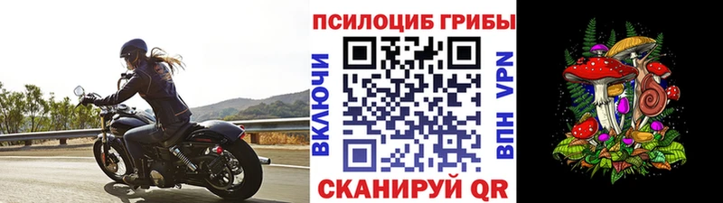 Галлюциногенные грибы прущие грибы  как найти наркотики  Коряжма 
