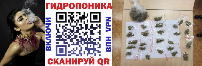 Конопля индика  купить   Коряжма 